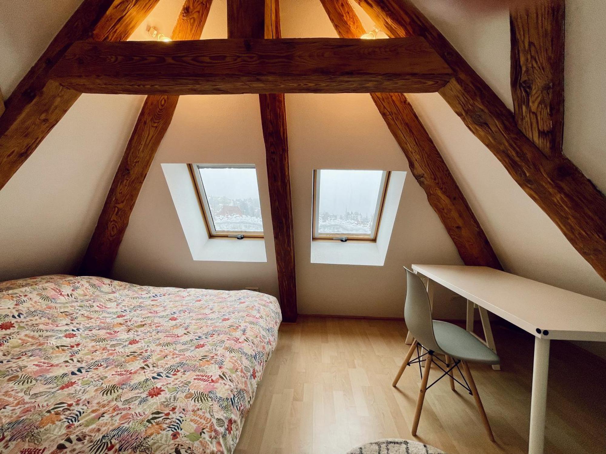 Appartement Duplex + Parking Gratuit Facile à Sainte-Suzanne  Extérieur photo